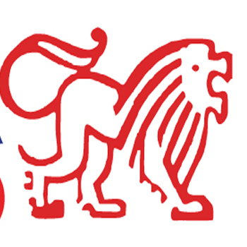 Simba Group